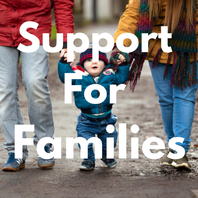 HP Support for families button